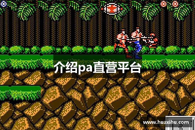 介绍pa直营平台